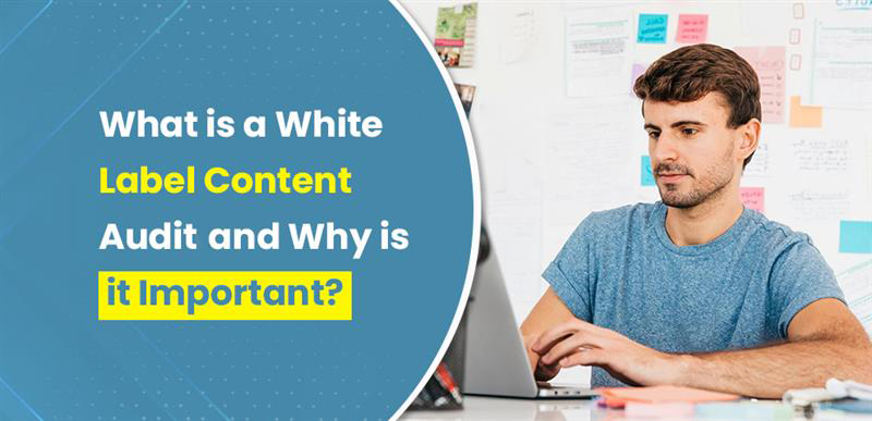 What is a White Label Content Audit and Why is it Important